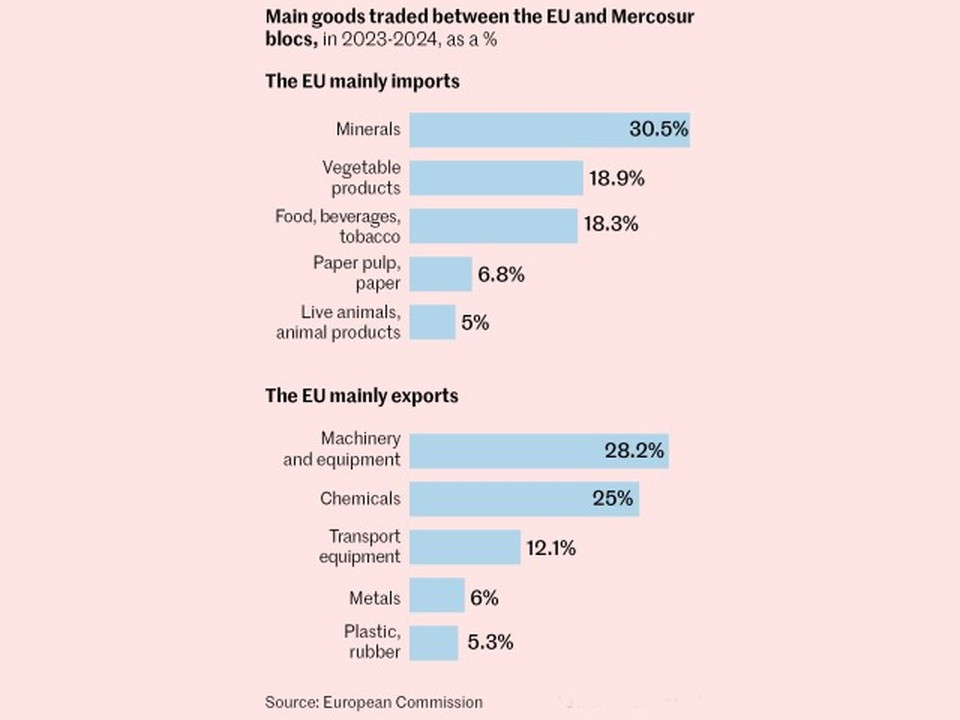 Trade shares EU–Mercosur (2023–24): EU imports minerals 30.5%, vegetables 18.9%, foods 18.3%; paper 6.8%; live animals 5%. EU exports machinery 28.2%, chemicals 25%, transport equipment 12.1%, metals 6%, plastics 5.3%.