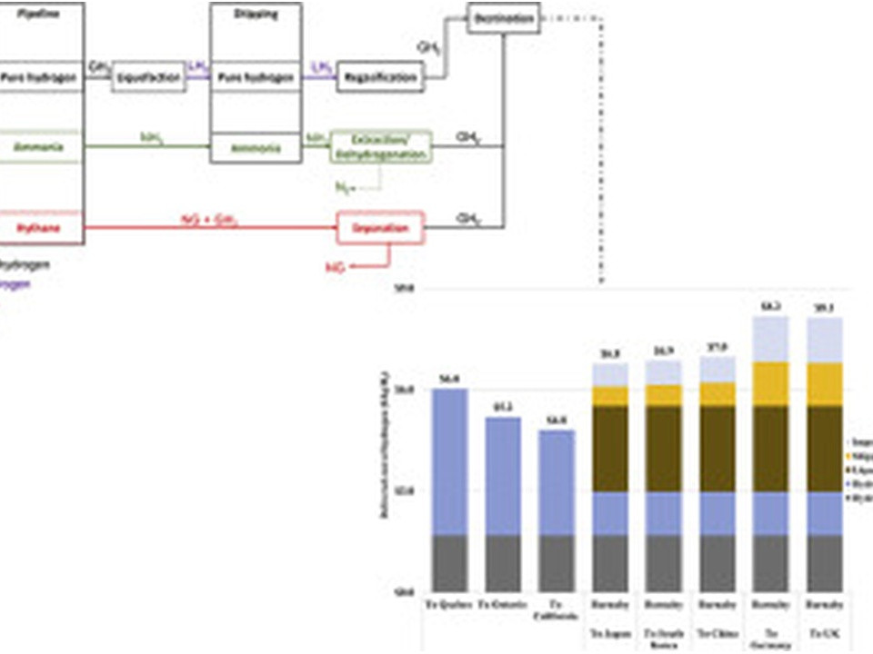 Top: schematic of a metabolic pathway from glucose to pyruvate with labeled steps (glycolysis, fermentation, respiration); bottom: stacked bar chart comparing component contributions across samples. Note: bars use color coding for different compounds or processes.