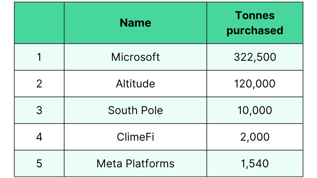 Table listing five companies and their purchased tonnes: Microsoft 322,500; Altitude 120,000; South Pole 10,000; ClimeFi 2,000; Meta Platforms 1,540.