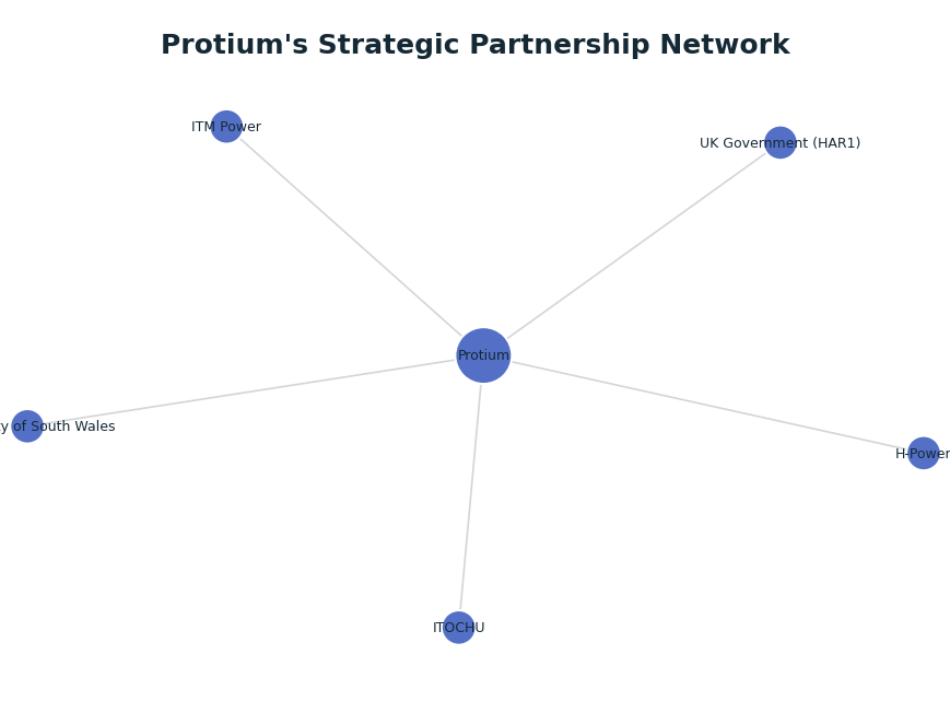 Network graph: Protium's Strategic Partnership Network