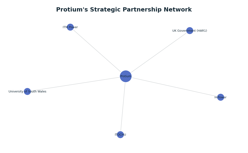 Network graph: Protium's Strategic Partnership Network