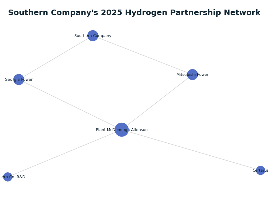 Network graph: Southern Company's 2025 Hydrogen Partnership Network
