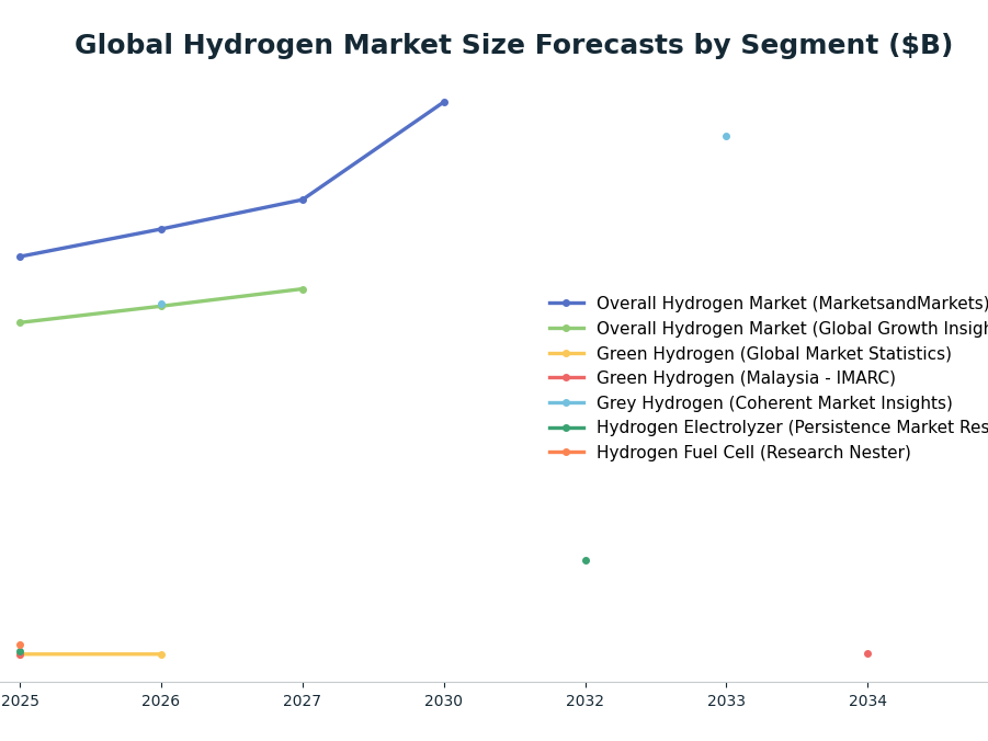 Line chart: Global Hydrogen Market Size Forecasts by Segment ($B) — series: Overall Hydrogen Market (MarketsandMarkets), Overall Hydrogen Market (Global Growth Insights), Green Hydrogen (Global Market Statistics), Green Hydrogen (Malaysia -