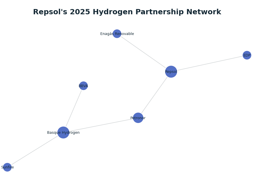 Network graph: Repsol's 2025 Hydrogen Partnership Network