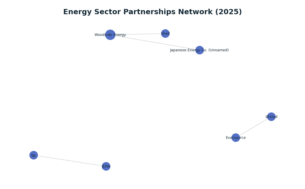 Network graph: Energy Sector Partnerships Network (2025)