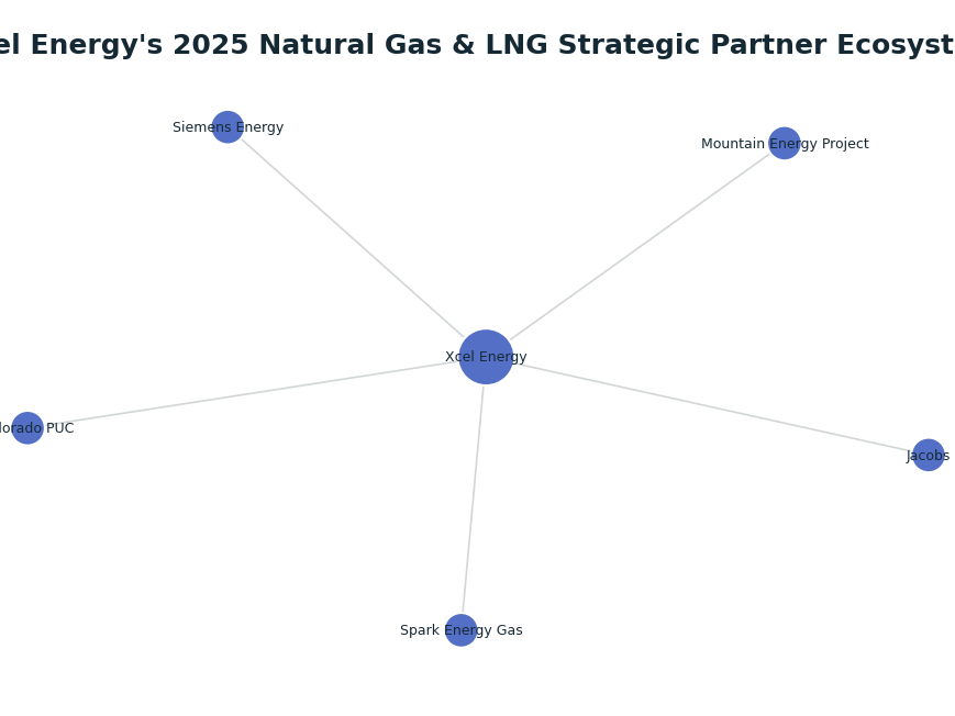 Network graph: Xcel Energy's 2025 Natural Gas & LNG Strategic Partner Ecosystem