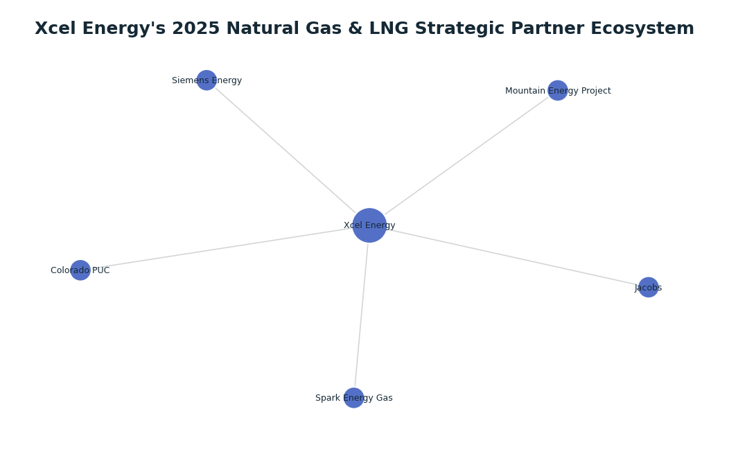 Network graph: Xcel Energy's 2025 Natural Gas & LNG Strategic Partner Ecosystem
